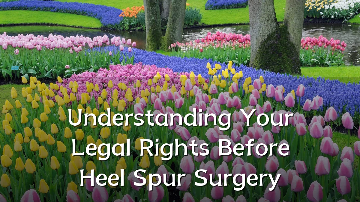 Understanding Your Legal Rights Before Heel Spur Surgery
