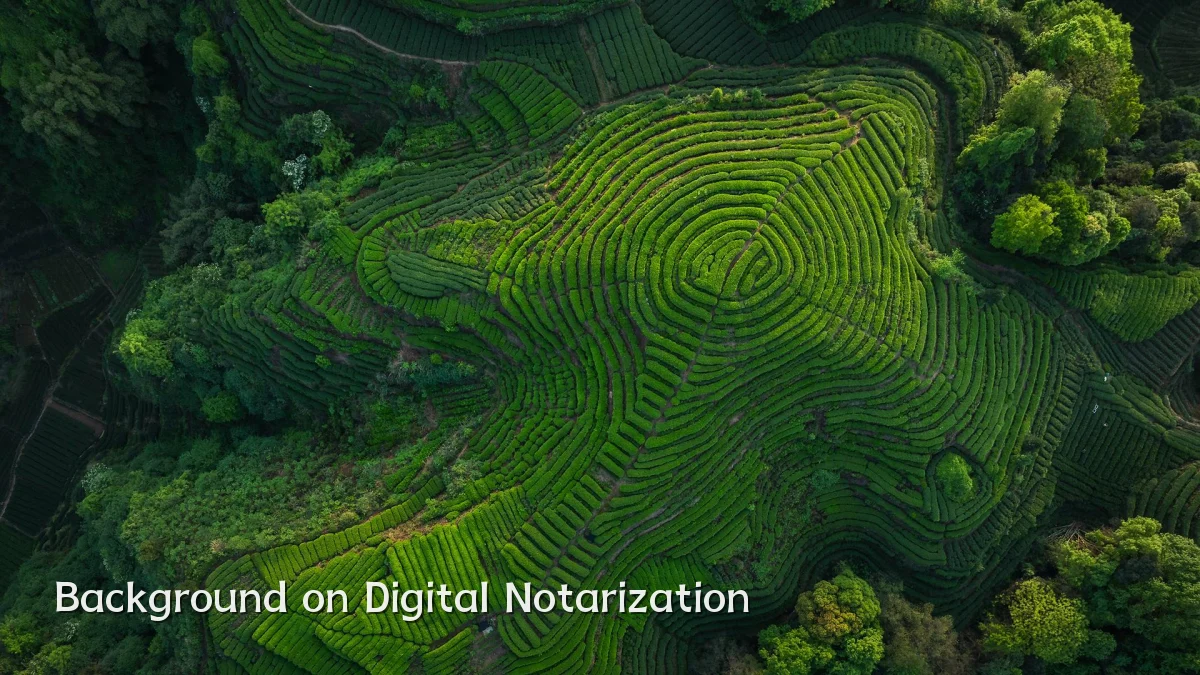 Background on Digital Notarization