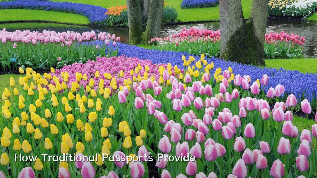 How Traditional Passports Provide
