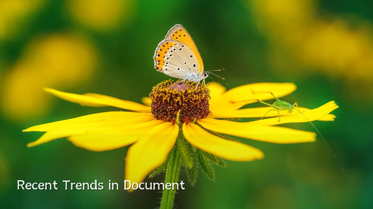 Recent Trends in Document