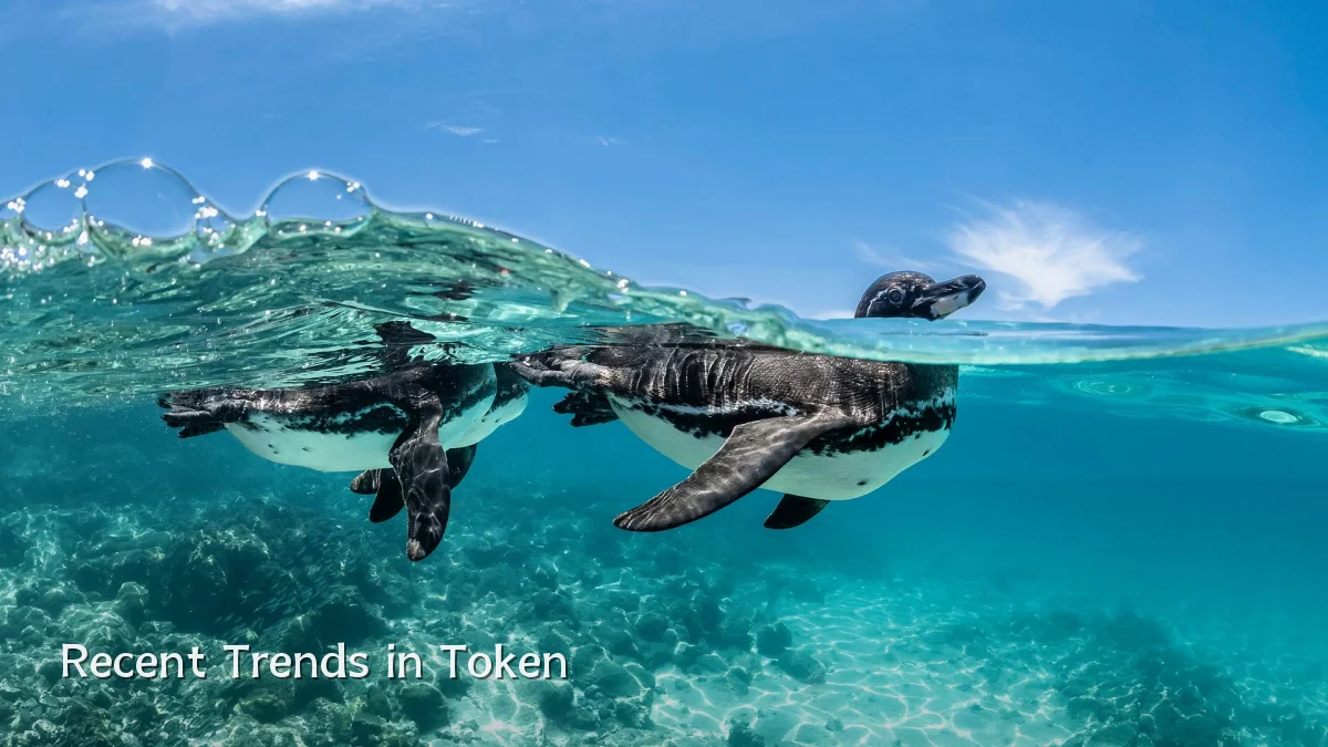 Recent Trends in Token