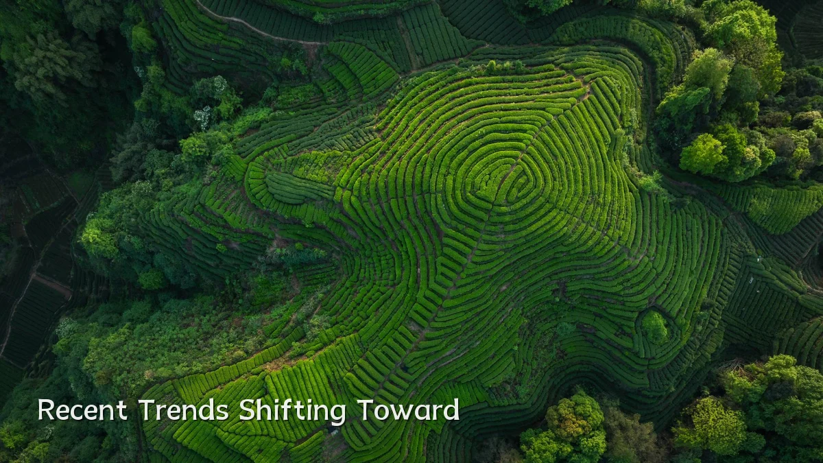 Recent Trends Shifting Toward